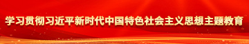 阴茎插小穴网站在线观看学习贯彻习近平新时代中国特色社会主义思想主题教育